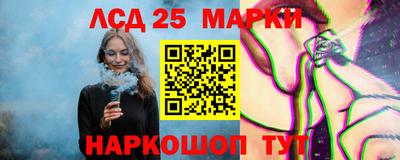 гашик Кузнецк