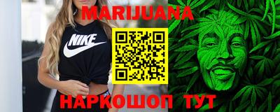 гашик Кузнецк