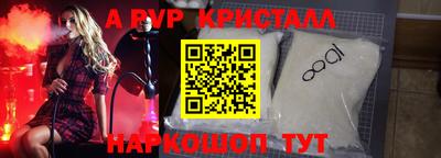 гашик Кузнецк