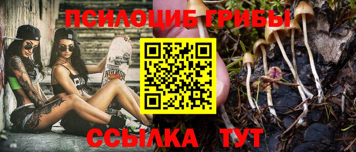 ГАШ  Бошки Шишки  Мефедрон   Серпухов  Вход с VPN 