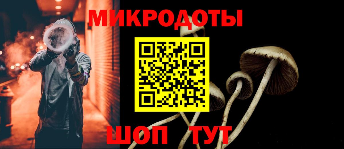 Серпухов  Галлюциногенные грибы Psilocybine cubensis  Вход с VPN 